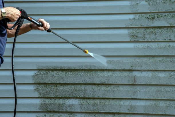 Best Fence Cleaning and Maintenance in Mathis, TX